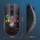 Souris Ergonomique RGB 10000 DPI Programmable Sans Fil et Filaire avec Effets Lumineux - www.yonis-shop.com