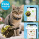 Collier Traceur Pour Chat Compatible Apple Localiser Sans Abonnement Réfléchissant Avec Fermoir À Ouverture Rapide IP67 - www...