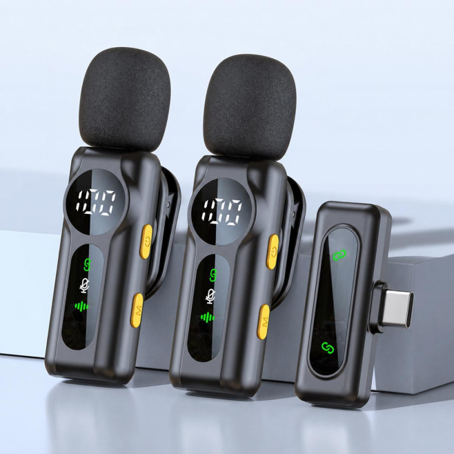 L02 Dual Mic 2 in 1 Magnetic Live Streaming Wireless Lavalier Noise Reduction Microphone, Type:Type-C(Black)