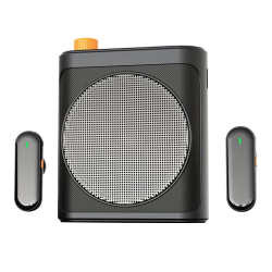 M29 Dual Mic Portable Wireless Lavalier Microphone Teaching Voice Amplifier(Black)