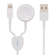 Câble Chargeur 2 En 1 USB 8 Pin Et Montre Magnétique Charge Deux Appareils Longueur 1,2 MFacile À Transporter