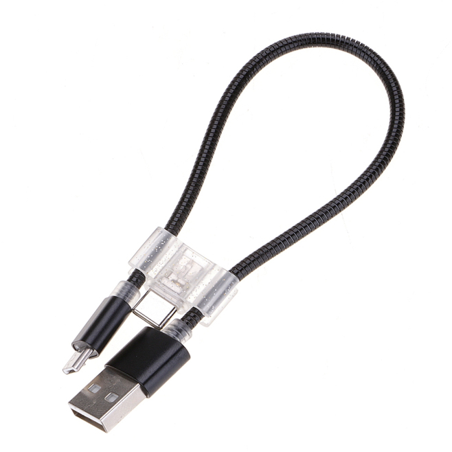Câble Rétractable De Charge Rapide Et De Transfert De Données Micro USB Et USB-C Type-C 24 Cm 2 A Argent