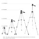 Kit Ring Light LED 16cm avec Trépied Réglable et Support Double Téléphone pour Vlogging et Diffusion en Direct - www.yonis-sh...