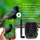 Caméra de Chasse 4G 4K 120MP Vision Nocturne Infrarouge Invisible 940nm Batterie Lithium Détecteur Mouvement Étanche IP65 - w...