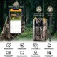 Caméra de Chasse 4G 4K 36MP Vision Nocturne No-Glow 940nm Longue Portée Batterie Rechargeable Détection 0,2s Étanche IP66 - w...