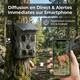 Caméra de Chasse 4G 2K 36MP Panneau Solaire Intégré Streaming Vidéo Direct Application Mobile Infrarouge Invisible IP65 - www...