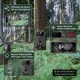 Mini Caméra de Chasse 4G Solaire 2K 30MP Détection Mouvement Vision Nocturne Infrarouge Invisible IP65 Camouflage - www.yonis...