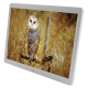 Cadre numérique 15\\" LCD Lecteur Multimedia SD USB Photo Calendrier MP3 - www.yonis-shop.com