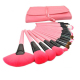 Kit Pinceaux de Maquillage Set 24 Brosses Manches Bois Poils de Chèvre Sacoche Cuir Rose - www.yonis-shop.com