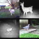 Caméra de chasse 16 MP Caméra de surveillance Full HD 1080P étanche Vision Nocturne IR - www.yonis-shop.com