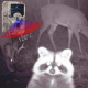 Caméra de Chasse Étanche IP54 avec Vision Nocturne IR et Angle Large 120 Degrés - www.yonis-shop.com