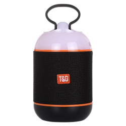 Enceinte Bluetooth Portable Stéréo Sans Fil V5.0 Avec Micro Intégré Appels Mains-Libres Support TF USB AUX FM
