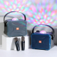 Enceinte Bluetooth Karaoke Sans Fil Avec Micros Intégrés Autonomie 3h Etanche Son Stéréo 360° - www.yonis-shop.com