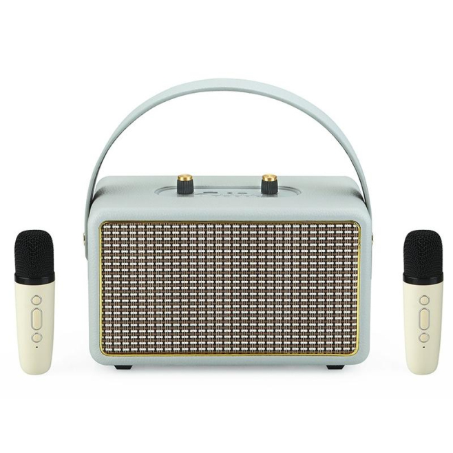 Enceinte Bluetooth Portable Effet Cuir Son Haute Qualité Avec Microphones Karaoke Autonomie Longue Durée Bois Gris - www.yoni...