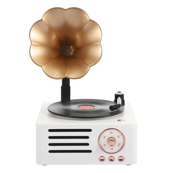 Mini Enceinte Bluetooth Vintage Multifonction Radio SD AUX FM Puissance 5W Autonomie 8h Charge Rapide - www.yonis-shop.com