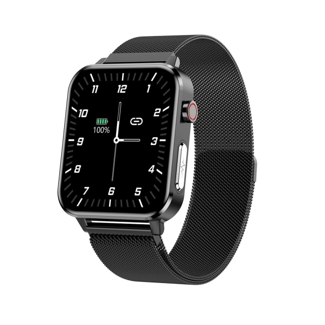 Montre Connectée IP68 Étanche Écran TFT 1.7 Pouces Suivi Santé Oxygène Sanguin Température Corporelle Diagnostic Médical AI B...