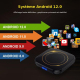 Box TV Android 12 4K Ultra HD Avec Télécommande 4 Go 32 Go Wi Fi Double Bande Et Bluetooth 4.0 - www.yonis-shop.com