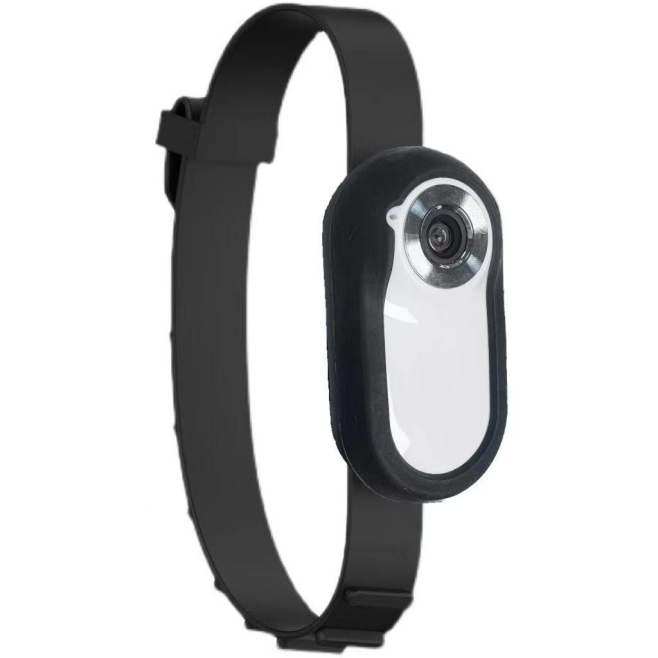 Caméscope Numérique Portable HD Avec Collier Silicone Pour Animaux Et Écran IPS Haute Définition - www.yonis-shop.com