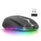 Souris Sans Fil 2400DPI Dual Mode 2.4GHz Bluetooth 5.1 6 Boutons Mute Rechargeable 700mAH 14 Modes Lumineux - www.yonis-shop.com