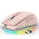 Souris Sans Fil 2400DPI Dual Mode 2.4GHz Bluetooth 5.1 6 Boutons Mute Rechargeable 700mAH 14 Modes Lumineux - www.yonis-shop.com
