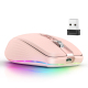 Souris Sans Fil 2400DPI Dual Mode 2.4GHz Bluetooth 5.1 6 Boutons Mute Rechargeable 700mAH 14 Modes Lumineux - www.yonis-shop.com