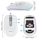 Souris Sans Fil 2400DPI Dual Mode 2.4GHz Bluetooth 5.1 6 Boutons Mute Rechargeable 700mAH 14 Modes Lumineux - www.yonis-shop.com