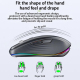 Souris Sans Fil 2400DPI Dual Mode 2.4GHz Bluetooth 5.1 6 Boutons Mute Rechargeable 700mAH 14 Modes Lumineux - www.yonis-shop.com