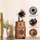 Enceinte Bluetooth Rétro Design Gramophone FM Radio Longue Autonomie Connexion Sans Fil et Filaire Son Puissant et Naturel - ...