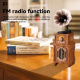 Enceinte Bluetooth Rétro Design Gramophone FM Radio Longue Autonomie Connexion Sans Fil et Filaire Son Puissant et Naturel - ...