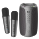 Enceinte Bluetooth Sans Fil Karaoke Avec Lumières RGB Et Microphone Double