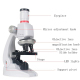 Microscope Éducatif Pour Enfants Avec Lentilles Multiples Et Support Téléphone Portable - www.yonis-shop.com