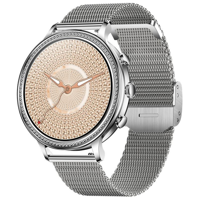 Montre Connectée Étanche Bluetooth Appels Et Suivi Santé Écran HD Acier Argenté
