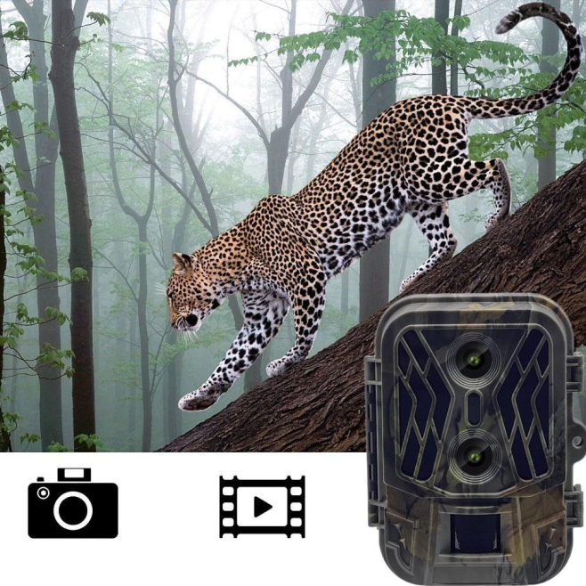 Caméra De Chasse 50MP 4K Vision Nocturne Détection Mouvement Étanche IP65 - www.yonis-shop.com