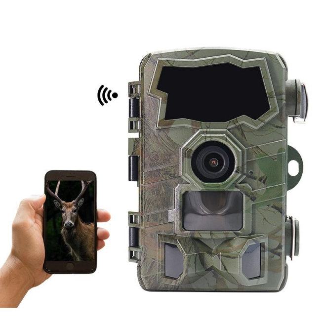 Caméra De Chasse 4K Résolution Écran TFT 2.4 Pouces Vision Nocturne 20m WiFi Bluetooth Angle Large 110° Détection PIR 120° Ét...
