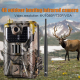 Caméra De Chasse Sans Fil Vision Nocturne Vidéo En Direct 4G Pour Surveillance Et Sécurité - www.yonis-shop.com