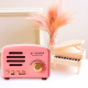 Mini Enceinte Bluetooth Portable Radio Rétro Support Carte TF Bois Grain Longue Autonomie 6h - www.yonis-shop.com