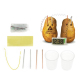 Réveil Écologique Éducatif Kit Science Verte Expérimentation Piles Galvaniques Potatoes Non Incluses Écran LCD - www.yonis-sh...