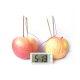 Réveil Écologique Éducatif Kit Science Verte Expérimentation Piles Galvaniques Potatoes Non Incluses Écran LCD - www.yonis-sh...