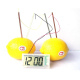 Réveil Écologique Éducatif Kit Science Verte Expérimentation Piles Galvaniques Potatoes Non Incluses Écran LCD - www.yonis-sh...