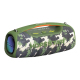 Enceinte Waterproof Puissante 100W Bluetooth Portable Avec Microphone Et Effets Lumineux - www.yonis-shop.com