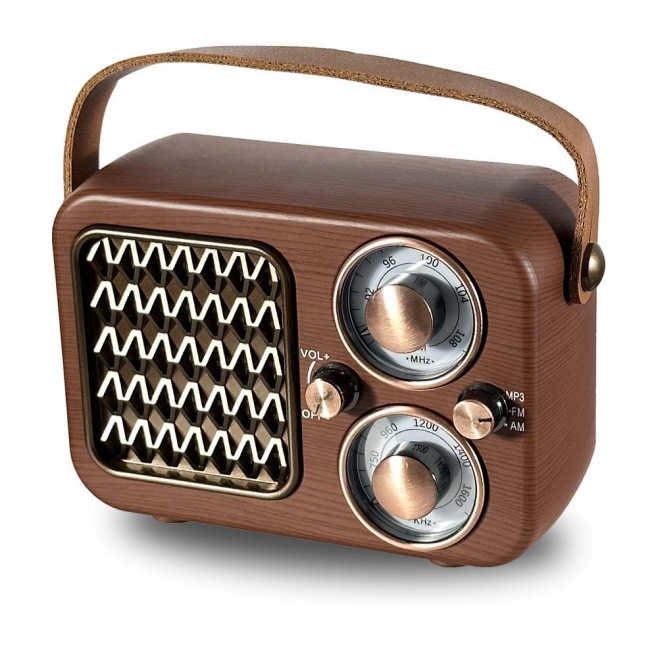 Enceinte Bluetooth Rétro Multifonctionnelle Avec Radio AM FM Et Design Élégant En Bois - www.yonis-shop.com