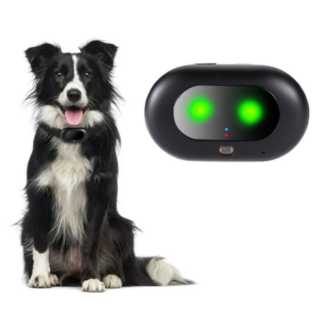 Traceur GPS 4G Pour Animaux IP67 Avec Géolocalisation Multimode Clôture Virtuelle Et Suivi Via Application - www.yonis-shop.com