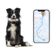 Traceur GPS 4G Pour Animaux IP67 Avec Géolocalisation Multimode Clôture Virtuelle Et Suivi Via Application - www.yonis-shop.com