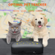 Collier GPS Pour Animaux Étanche IP67 Suivi Temps Réel Batterie 900mAh Verrou Antivol - www.yonis-shop.com