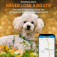 Collier GPS Pour Animaux Étanche IP67 Suivi Temps Réel Batterie 900mAh Verrou Antivol - www.yonis-shop.com