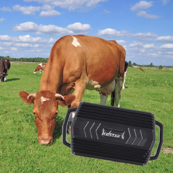 Traceur GPS Pour Bovins Chevaux Et Moutons Étanche IP65 GPS LBS Batterie 3000mAh Collier Inclus