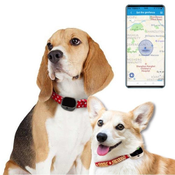 Traceur GPS Pour Animaux 4G Étanche IP67 Avec Localisation WiFi LBS Autonomie 60 Heures