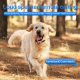 Collier GPS Pour Chien Et Chat IP68 WiFi LBS Clôture Virtuelle Autonomie 4 5 Jours - www.yonis-shop.com