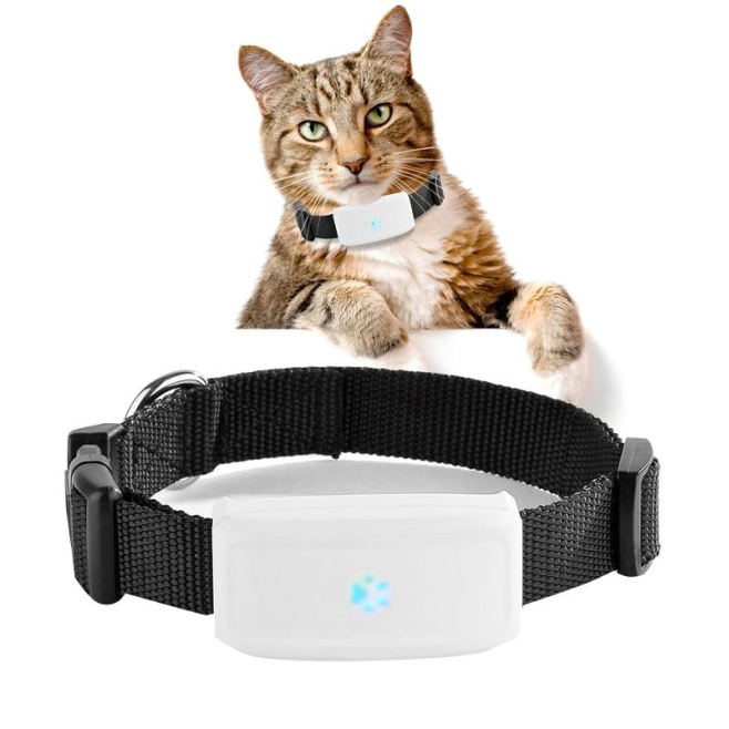 Traceur GPS Pour Animaux Étanche IPX7 Localisation GPS WiFi LBS Autonomie 720 Heures - www.yonis-shop.com