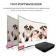 Box TV Android 7.1 4K Mini PC Octa Core RAM WIFI Miracast Kodi TV - www.yonis-shop.com
